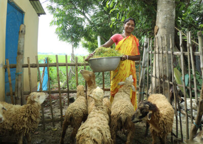 Comprehensive Poverty Reduction Program (CPRP)