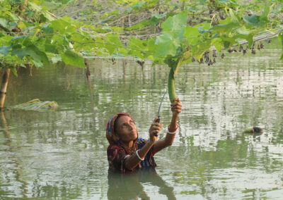 Disaster Resilience Education and Communities