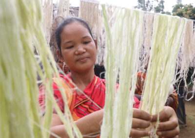 Green Innovation for Resilience Building (GIRB) Project