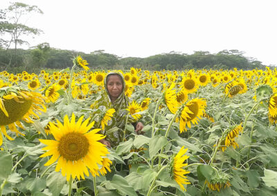 Promoting Climate Resilient Communities in Bangladesh (PCRCB)
